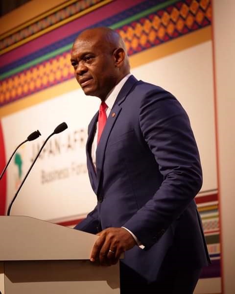 Tony Elumelu, Why Are You Doing This, What’s In It For You? 