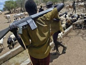 Five Killed, Houses Destroyed As Farmers, Herders Clash In Ogun