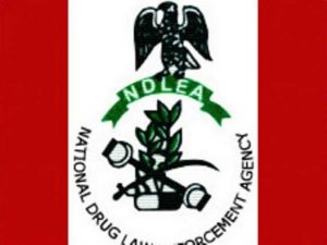 NDLEA arrests 330 drug traffickers