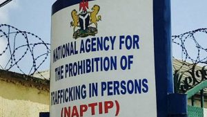 NAPTIP rescues 105 victims of human trafficking in Benin