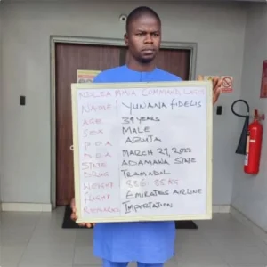NDLEA apprehends seven-man airport drug ring, recovers N19.8m cash