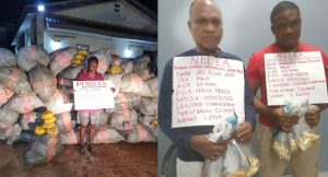 Two drug dealers defecate 165 wraps of Cocaine in NDLEA custody