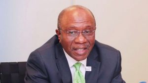 Agriculture: Nigeria produced 35 million bags of fertilisers in five years -Emefiele