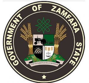 RE: Zamfara full of Blood and Royal Cadillac – By Adeola Soetan.