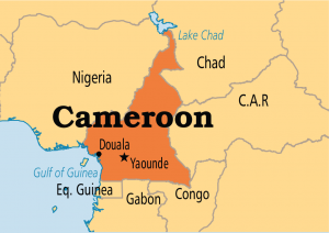 Sad! Plane with 11 aboard crashes in Cameroon