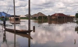Buhari govt told solution to flooding in Benue, Rivers, Niger
