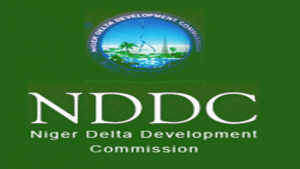 NDDC: Probe past administrations, publish indicted persons – Ex-agitators