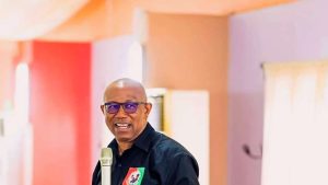 Peter Obi will fix scarcity of fuel, naira – Ex-Minister Nwankwo