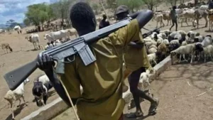 Suspected herdsmen attack Benue community, kill 3, ambush military