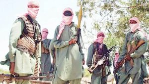 Terrorists kill 41 in Katsina