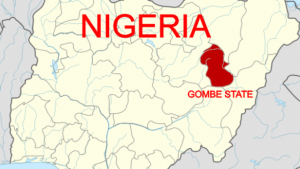 Thugs injure five in Gombe PDP meeting
