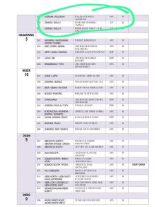INEC Confirm LP Won Oshodi/Isolo Constituency1 But Publish Wrong Name On Their Portal