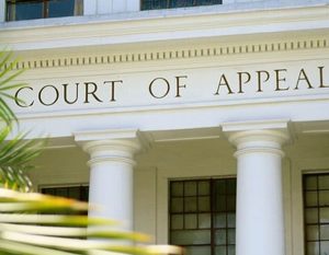 Guber polls: INEC, LP win as Appeal Court orders reconfiguration of BVAS