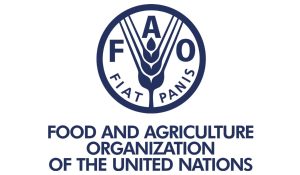 Global food prices fall by 2.1 per cent except Sugar – UNFAO