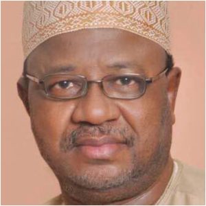 How Buhari’s broadcast for Binani affected Adamawa guber – SDP candidate, Ardo