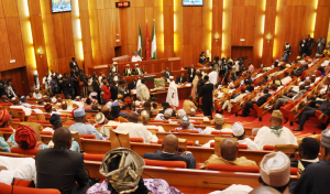 Nigerian Senate resumes May 2