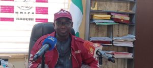 Bauchi NDLEA seizes 1,298.153kg of banned drugs, secures 103 convictions in 10 months
