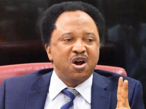 Buhari left legacy of debt burden, thousands killed by terrorists under him – Shehu Sani