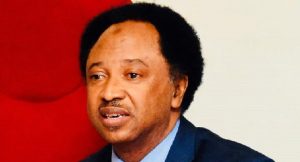End terrorism – Shehu Sani tasks Nuhu Ribadu