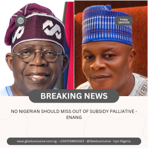 NO NIGERIAN SHOULD MISS OUT OF SUBSIDY PALLIATIVE – ENANG