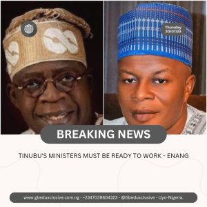 TINUBU’S MINISTERS MUST BE READY TO WORK – ENANG