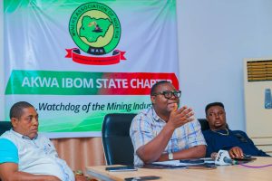 Government Loses Revenue from Mining Annually, Says Miners Association