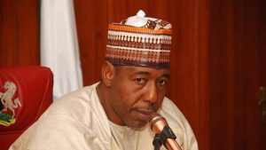 Borno: Governor Zulum orders crackdown on notorious Marlian group