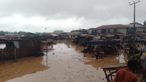 Property worth millions destroyed as flood ravages houses, farmhands in Ibadan