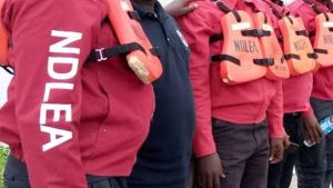 We’re investigating shooting incident involving our officers in Delta – NDLEA