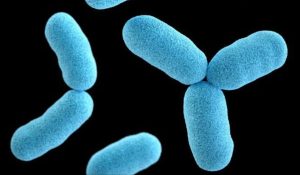 171 LGAs at high risk of diphtheria spread – FG