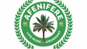 Coup: Afenifere cautions ECOWAS on military intervention in Niger