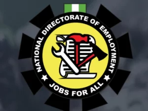 Lawyer threatens NDE with court action over N52bn SPW disbursement