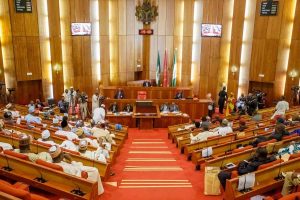 Ministerial screening: Senate explains ‘bow and go’ consideration for ex-lawmakers