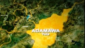 Notorious gang kills man over phones in Adamawa