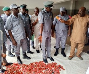 Ogun: Customs intercepts 1,245 live cartridges concealed in bags of rice