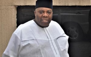 Okupe drums support for Tinubu over planned military intervention in Niger