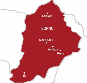 Over 1,680 school children kidnapped since 2014 – CSO report indicates