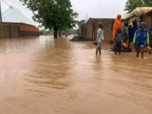 Seven Yobe LGs to be severely flooded in 10 days – Fanfair Forecast predicts