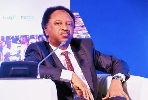 Wike: Why PDP has no business to challenge Tinubu’s victory in court – Shehu Sani