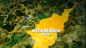 15 drown as boat capsizes in Adamawa