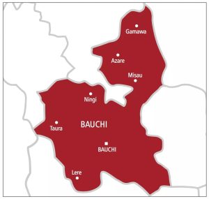 Bauchi receives N2bn palliatives, announces sharing formula