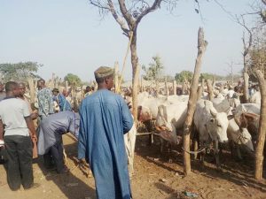 Cattle sellers decry drop in sales after subsidy removal
