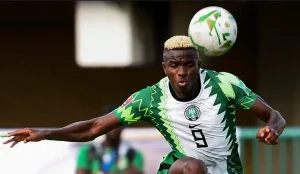 AFCON 2023: Zakuani backs Osimhen to help Super Eagles defeat Cameroon