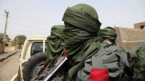 Again, terrorists kill seven, abduct 20 in Zamfara
