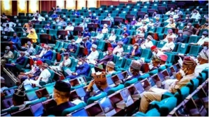 Reps hail Super Eagles’ performance at 2023 AFCON