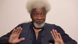 Decentralisation Will Solve Many Of Nigeria’s Challenges — Wole Soyinka