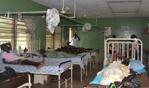 Gombe govt confirms meningitis outbreak
