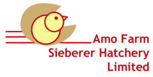 Amo Farm Marks International Day of Families, Nourishes with Agro-Innovation Noiler