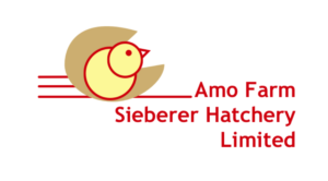 Amo Farm Sieberer Hatchery Celebrates Nigeria’s 64th Independence Anniversary