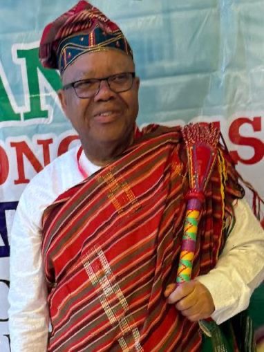 Dr Eromonsele Idahosa Esan Healthcare Transformation Congress